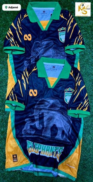 Maillot Équipe éléphants