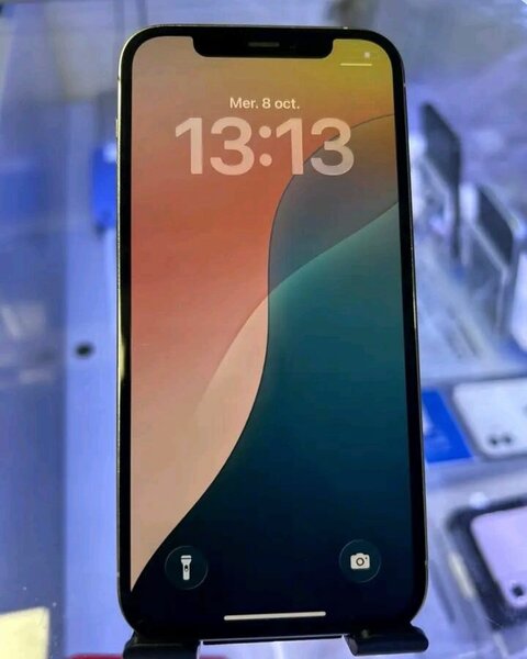 iPhone 12 Pro Max Argent