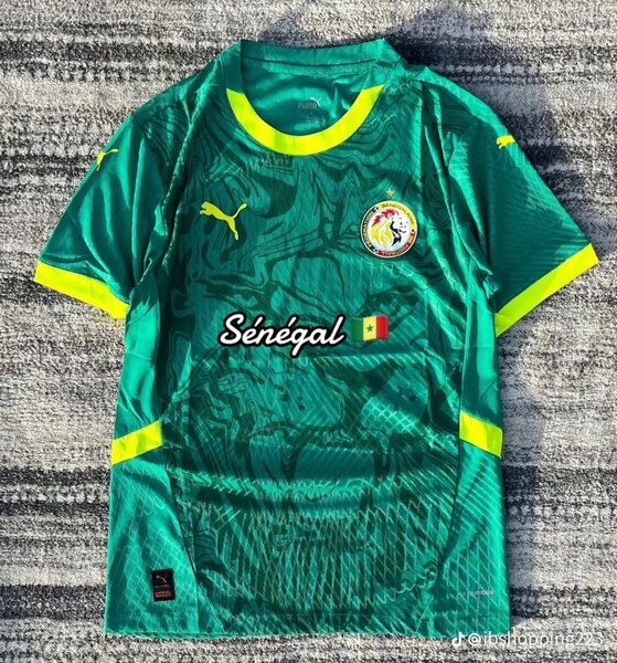 Maillot Équipe Sénégal Puma