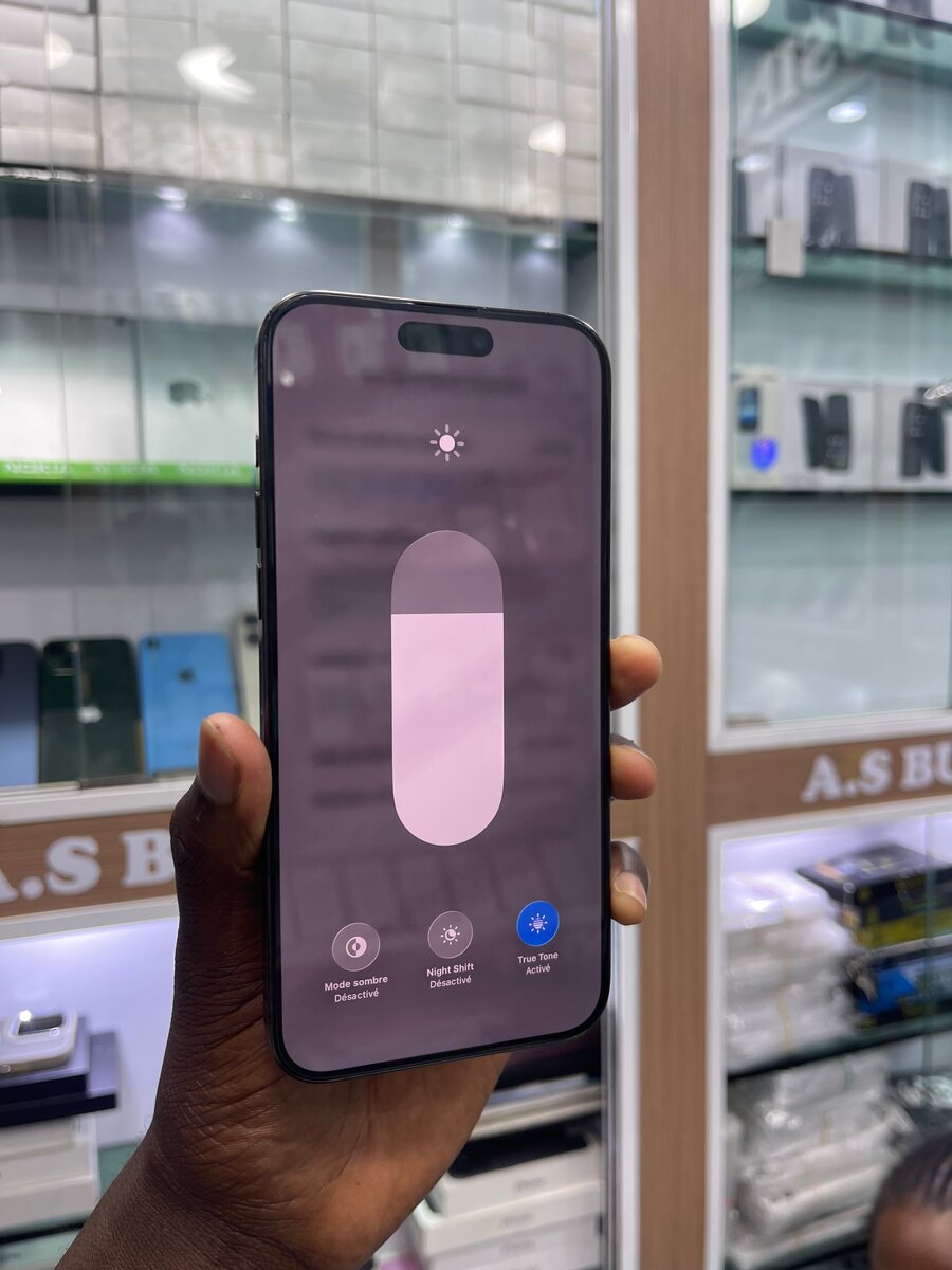 iPhone 15 Pro Max 256Go