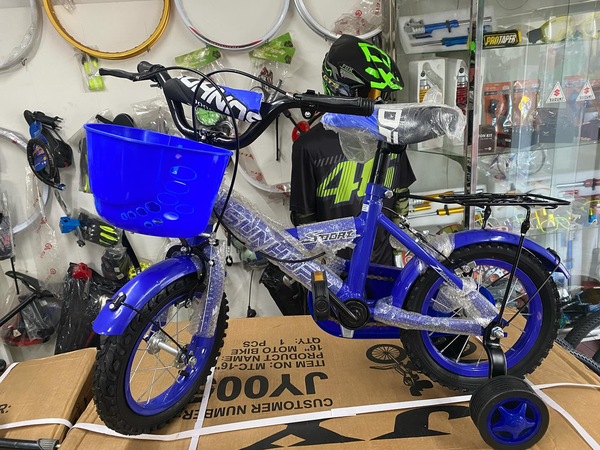 Vélo Enfant Bleu avec Stabilisateurs