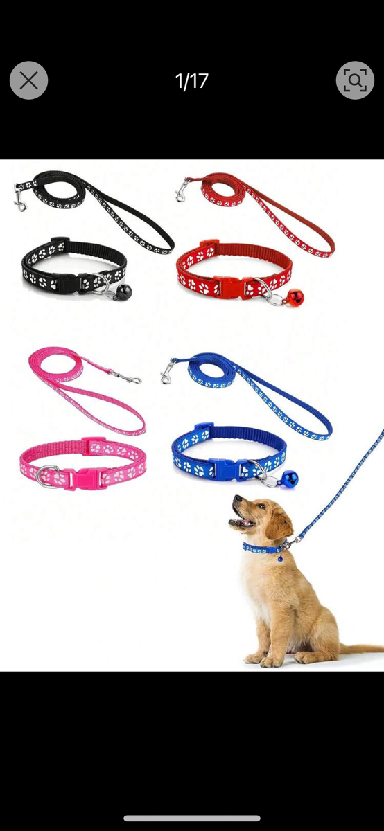 Collier et laisse motif patte