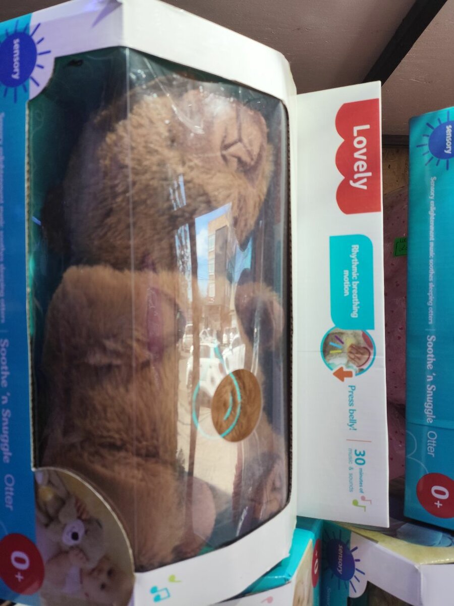 Говорящий бурундук