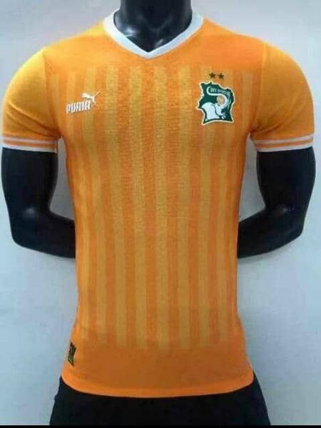 Maillot Côte d'Ivoire Puma