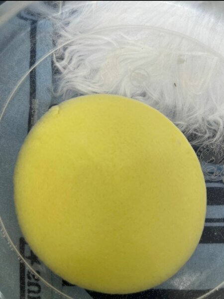 Chiffons compressés et gant gommant