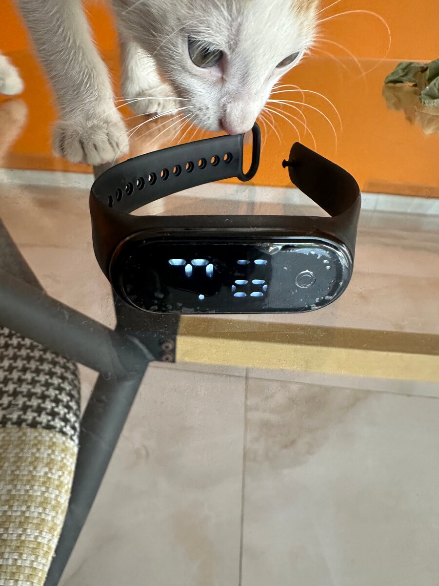 Bracelet connecté fitness