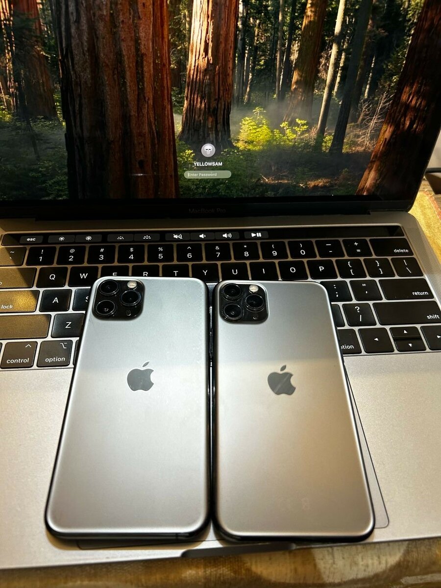 iPhone 11pro max