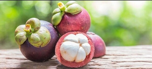 Savon enrichi MANGOUSTAN