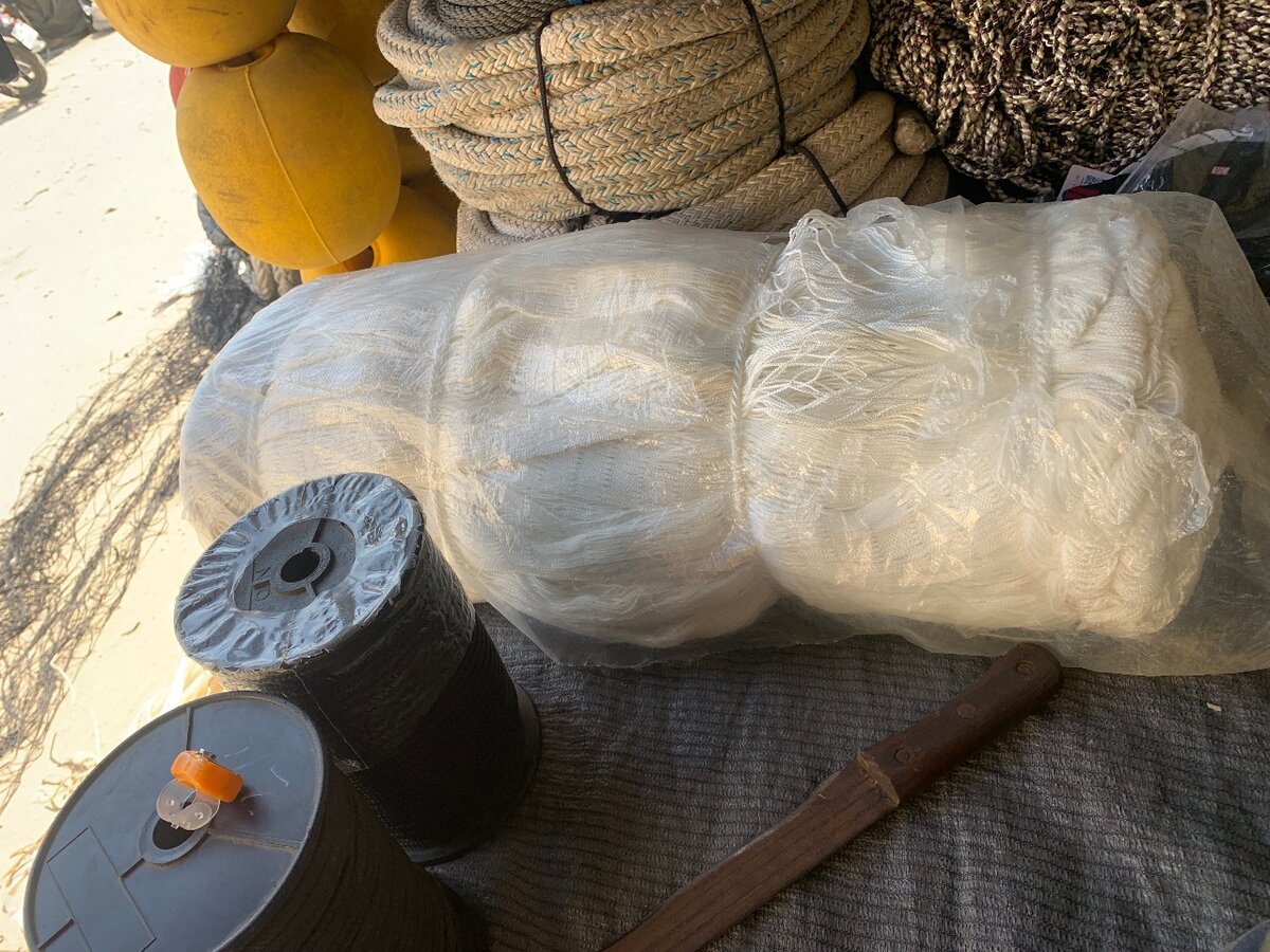 Filet 2 dois blanc élevage