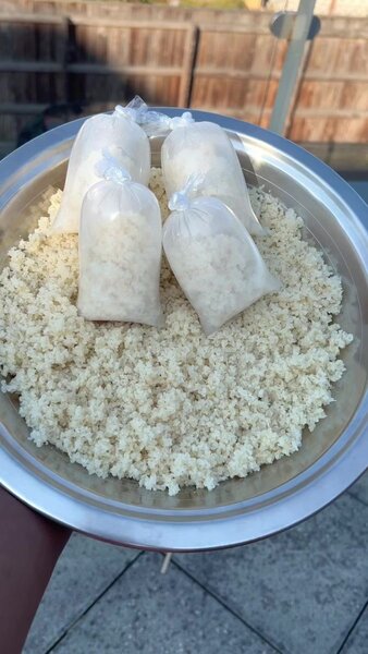 Semoule de Couscous Fraîche