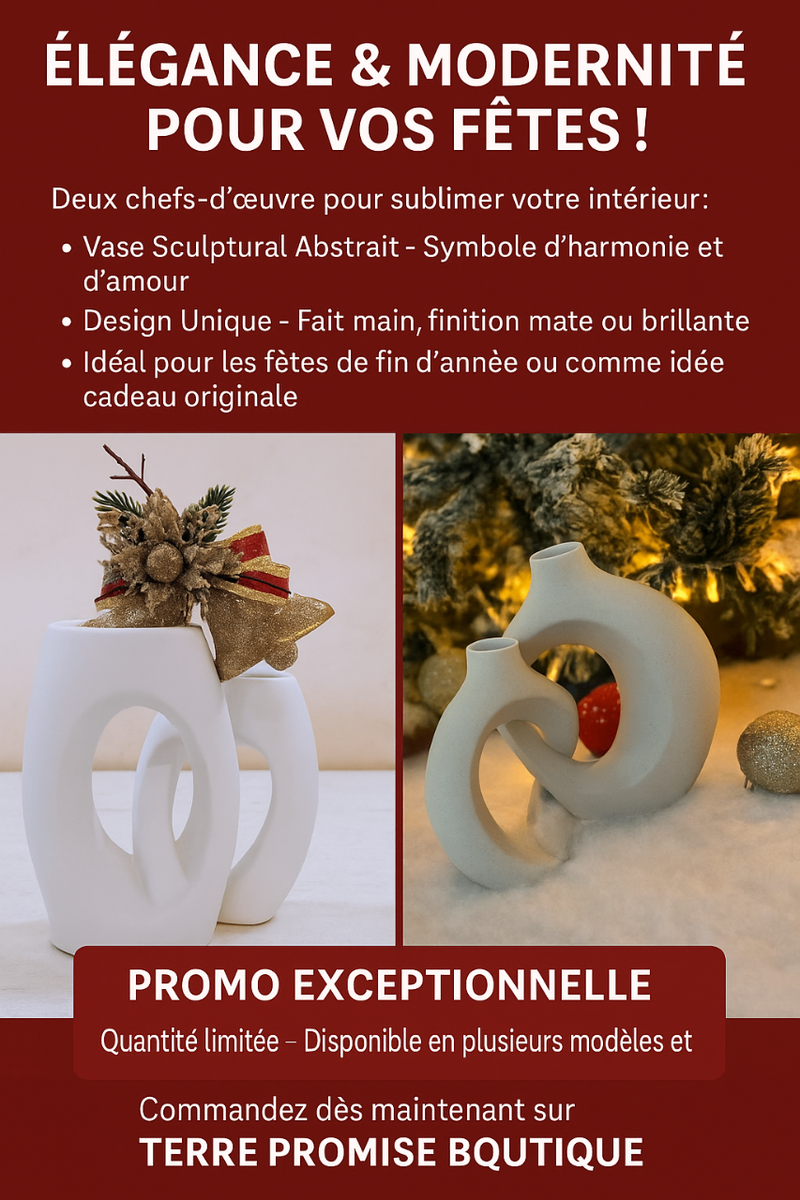 Vase Sculptural Abstrait Élégant