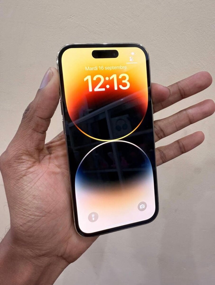 iPhone 14 Pro Max 256GB Argent