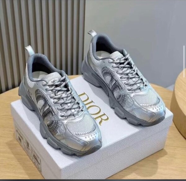Dior sneaker