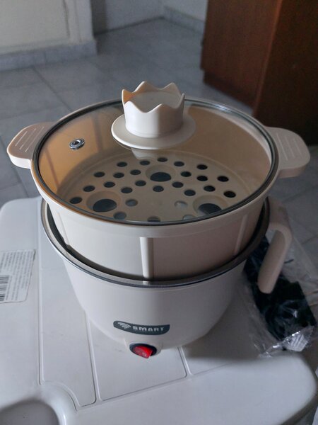 Cuiseur Vapeur Électrique 2L