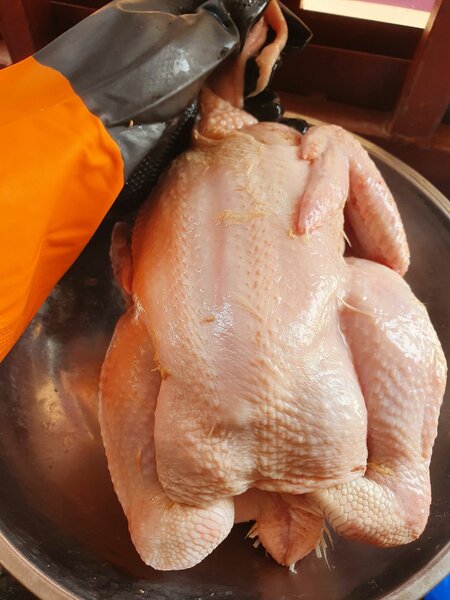 Poulet entier frais