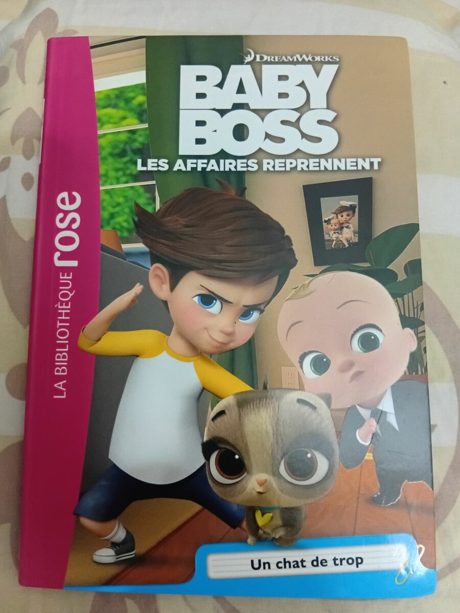 Livre pour Enfants Baby Boss