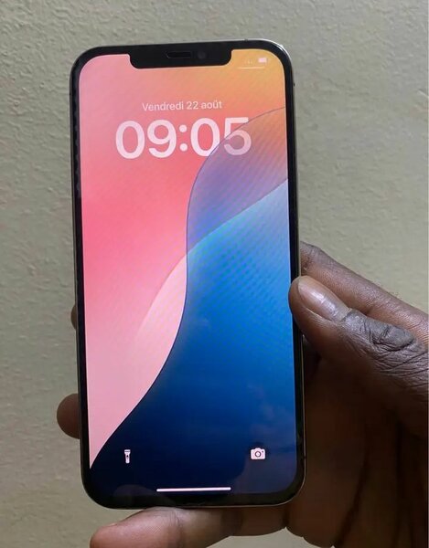 iPhone 12 Pro Max 128Go argent