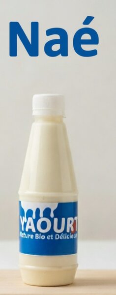 Yaourt Bio Nature Naé