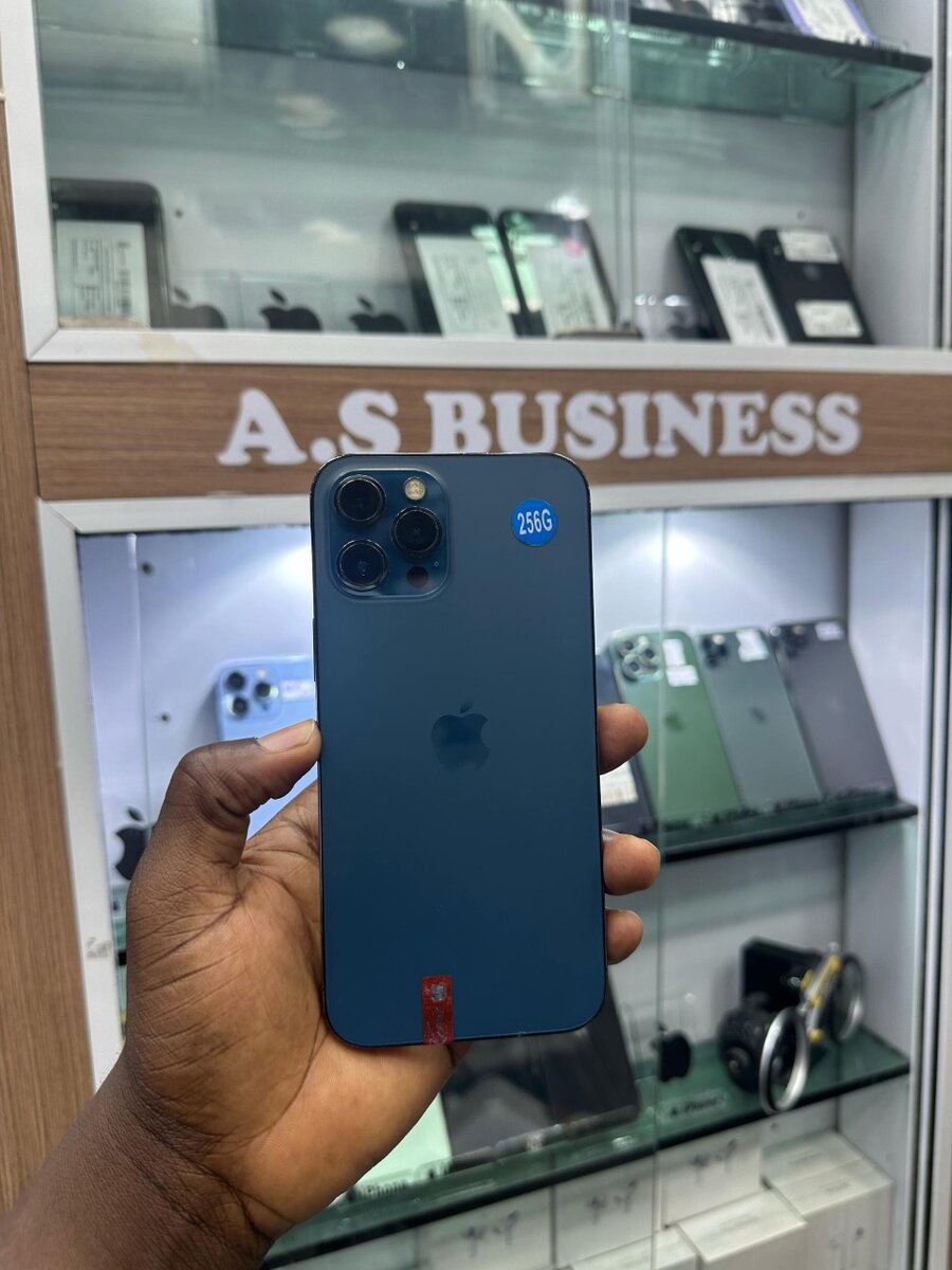 12 pro max 256giga Casi neuf