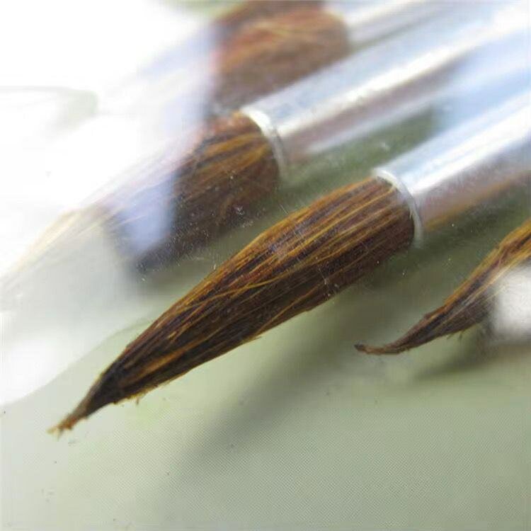 Pinceaux Artiste Set Professionnel