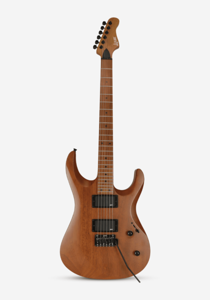 Guitare Électrique Moderne