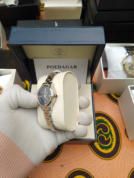 Montre CURREN femme bicolores