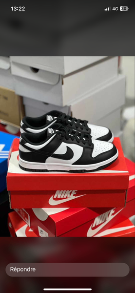 Chaussure Nike SB