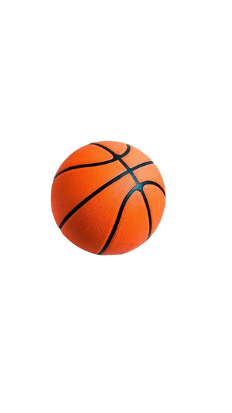 Ballon de basketball