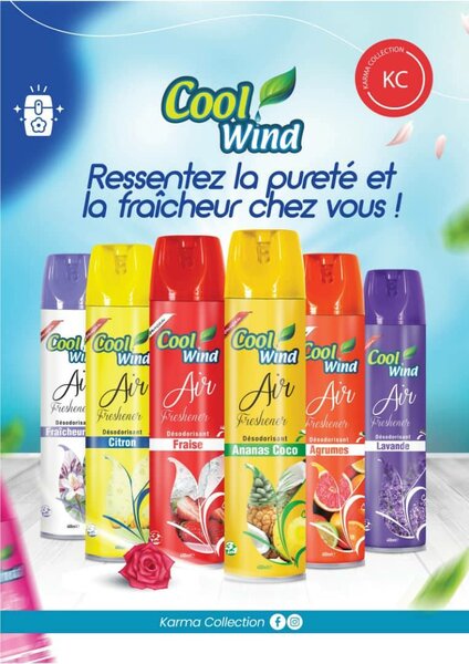 Diffuseur Cool Wind Air Fresher
