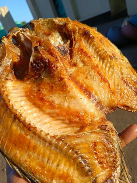 Moto moya semi dry fish