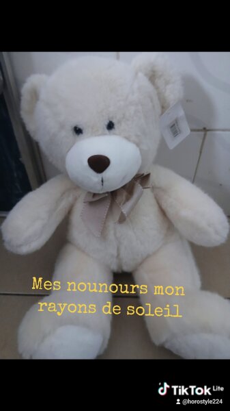 Nounours en peluche doux