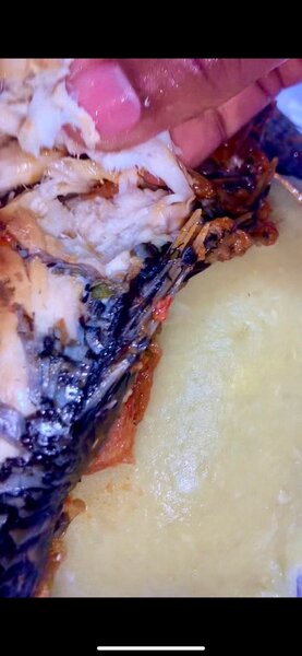 Bieukôsseu poisson(carpe)