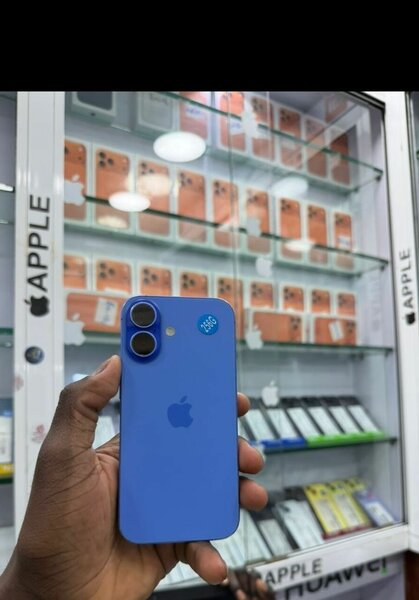 iPhone Bleu 256Go