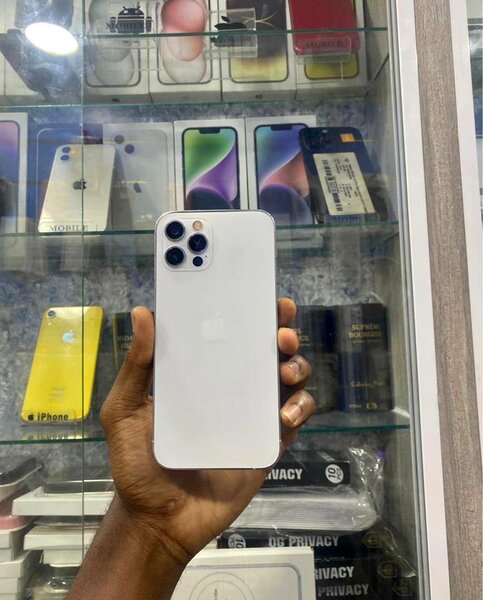 iPhone 13 Pro Max Blanc