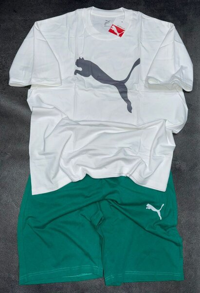 Ensemble T-shirt et Short Homme Puma
