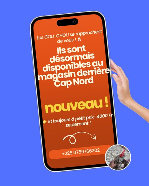 La ferme de papi YAO