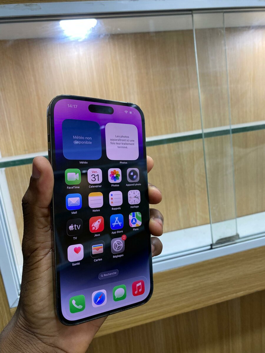 14 ProMax 256 giga tout passe