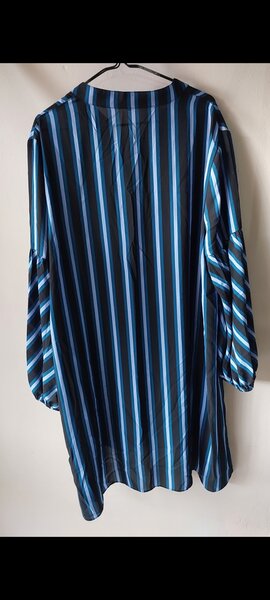 Blue Stripped Blouse