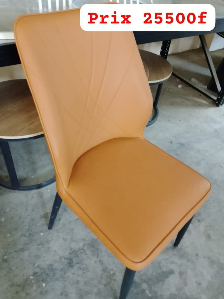 Chaise Design Moderne