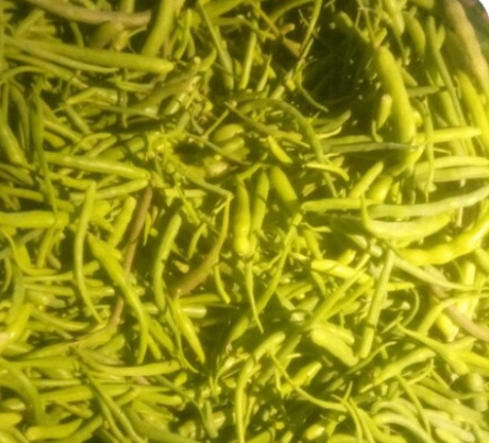 Mongray 1kg