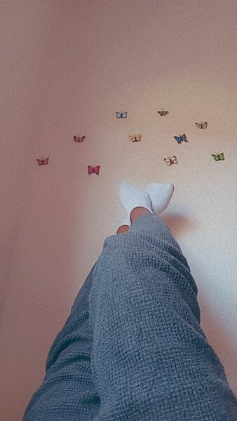 Wall butterflies