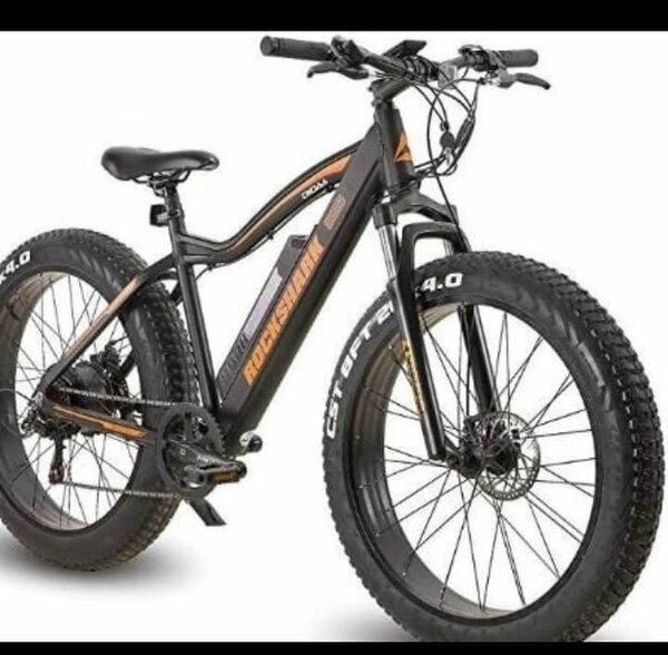 Vélo électrique tout-terrain