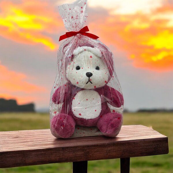 Плюшевые мишки с капюшоном