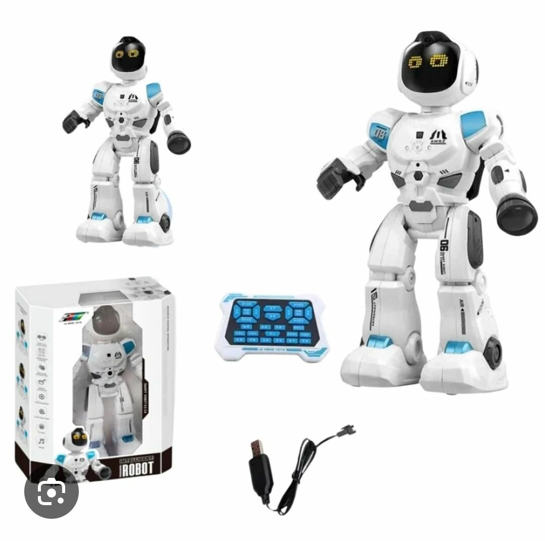 Robot Intelligent Programmable