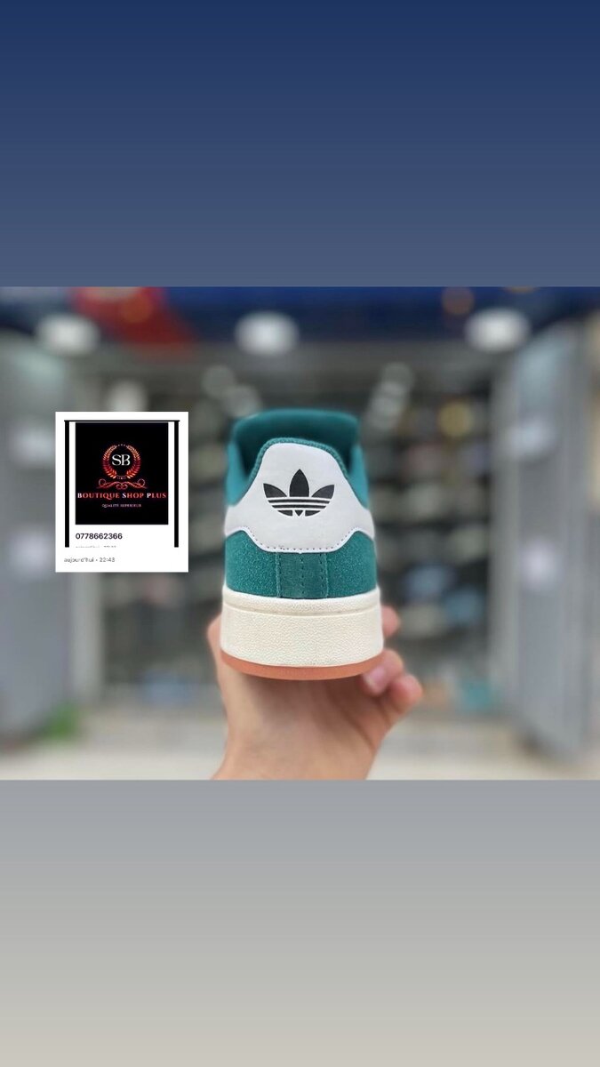 Basket adidas campus authentique avec sa boîte