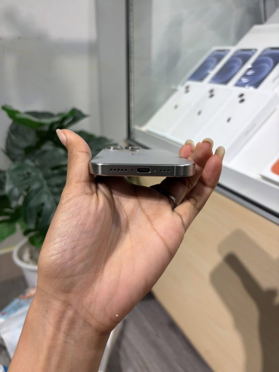 iPhone 15 Pro Max Gris