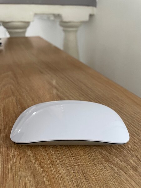 Apple mouse