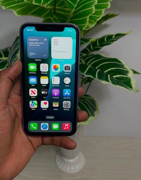 iPhone 11