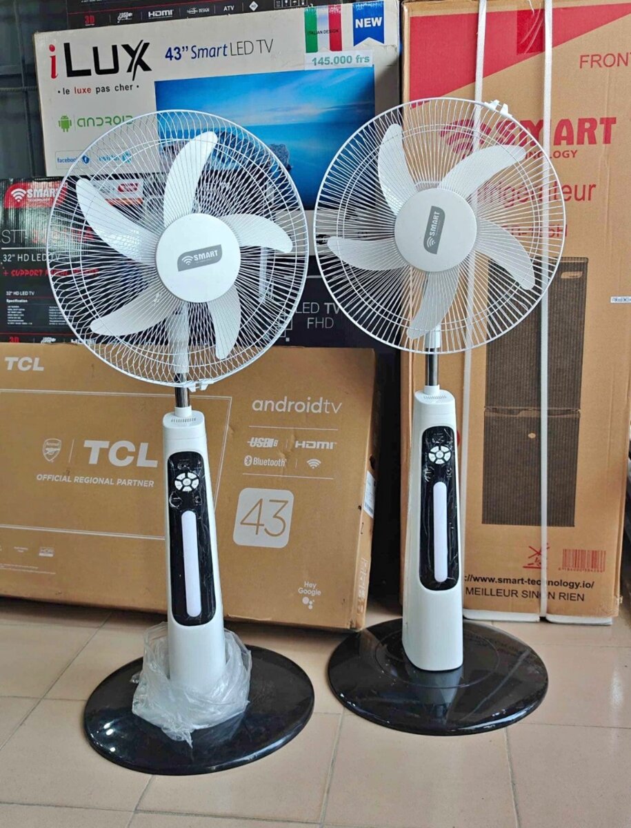 Ventilateur oscillant avec télécommande