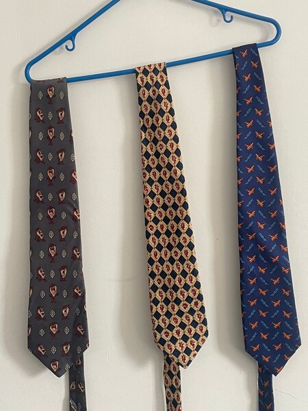Lot de cravates vintage élégantes